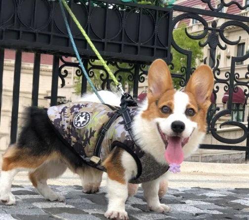 Pet Dog Clothes For Small Dogs Winter Warm Dog Hooded Coat Jackets Chihuahua Pug Outfits Puppy Cat Clothing EX-STOCK Canada