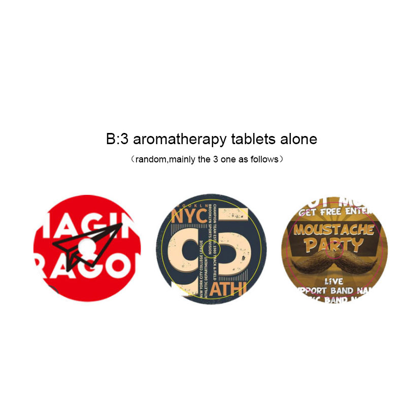 Air Outlet Aromatherapy Record Player Decoration EX-STOCK Canada