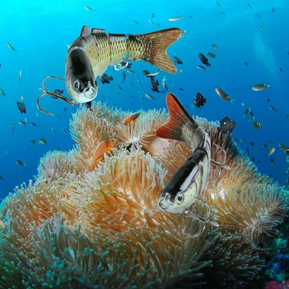 Bionic Bait Lure Bait Sea Fishing Hard Bait Simulation Bait Set EX-STOCK Canada