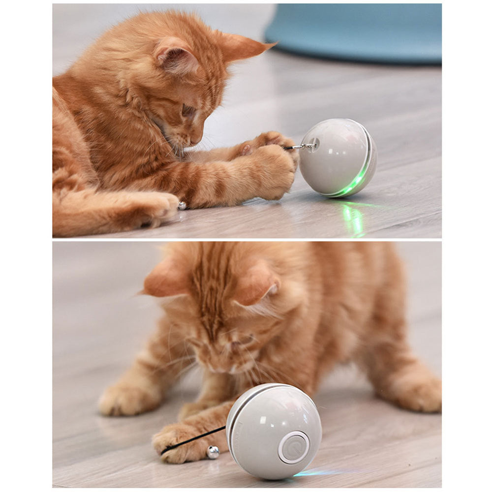 Balle de chat drôle avec laser LED coloréEX-STOCK Canada