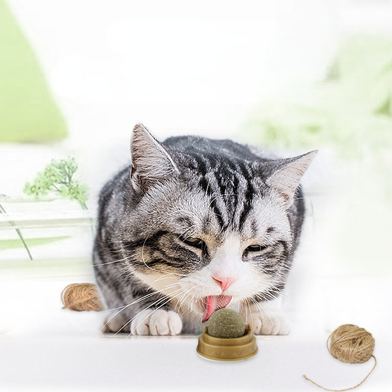 Catnip Balls Cat Treats Rotary Molar Teeth Cleaning EX-STOCK Canada