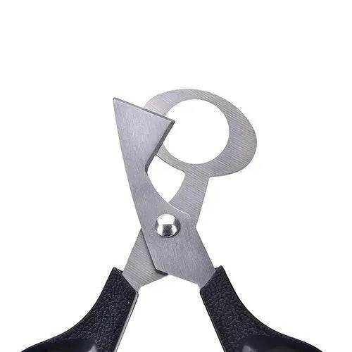 Pigeon Quail Egg Scissor Bird Cutter Opener Kitchen Tool - EX-STOCK Canada