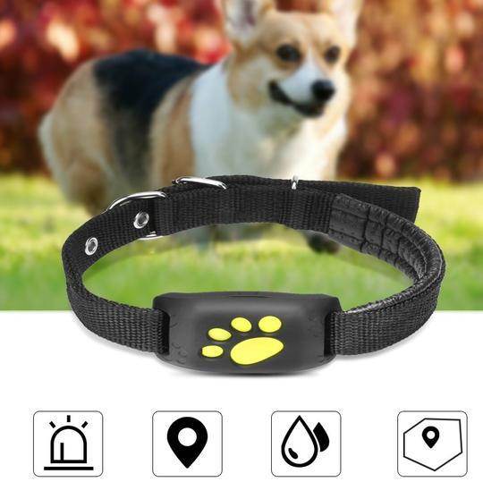 GPS Pet Tracker GPS Dog fence - EX-STOCK Canada