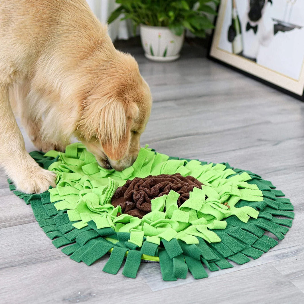 Dog Sniffing Mat Dog Puzzle Toy Pet Snack Feeding Mat Boring Interactive Game Training Blanket Snuffle Feeding Training Mat EX-STOCK Canada