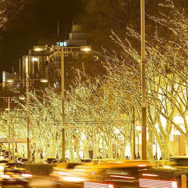 LED Lighting Chain Outdoor Street Decoration EX-STOCK Canada