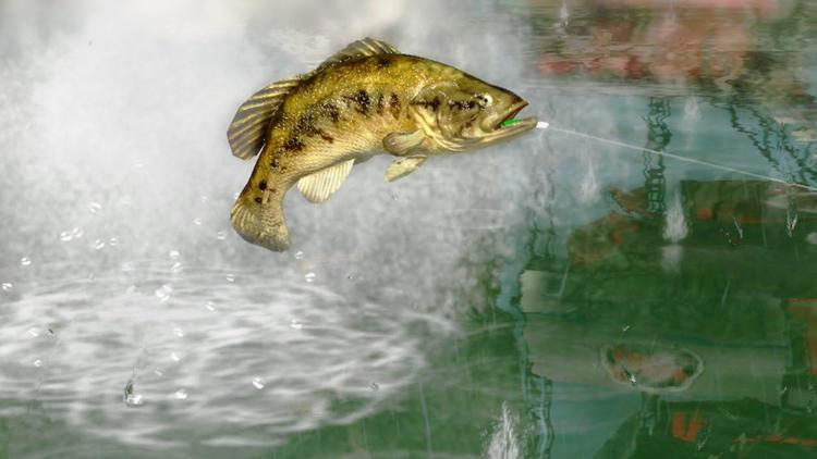 Rapala Pro Bass Fishing With Wireless Controller Fishing Rod