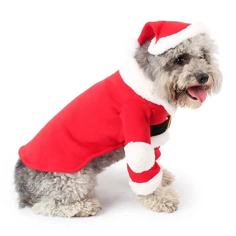 Pet Christmas Decoration Costume Pet Standing Costume - EX-STOCK Canada
