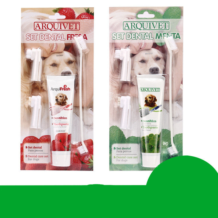 kit de soins dentaires pour chien avec dentifrice à la menthe et à la fraise