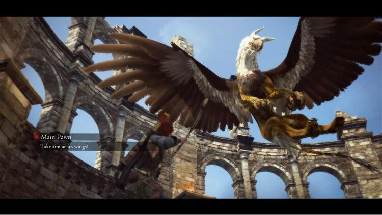Dragon's Dogma