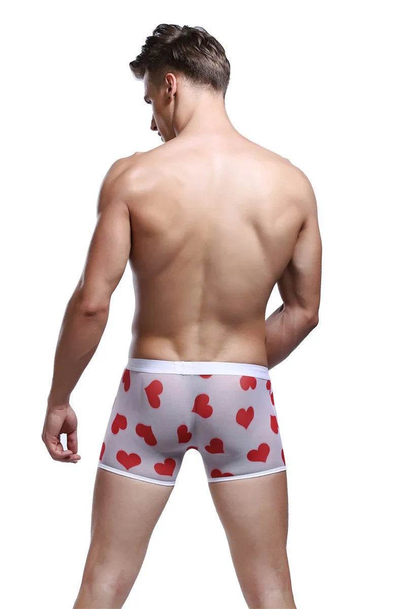 Spandex Mesh Printed Pouch boxer briefs underwear men - EX-STOCK Canada