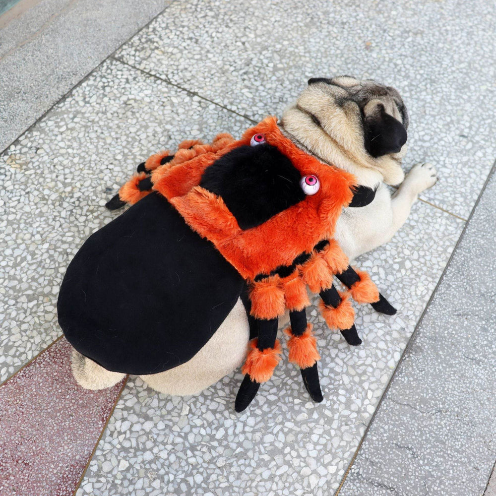 Pet Clothes Halloween Spider Pet Costume - EX-STOCK Canada