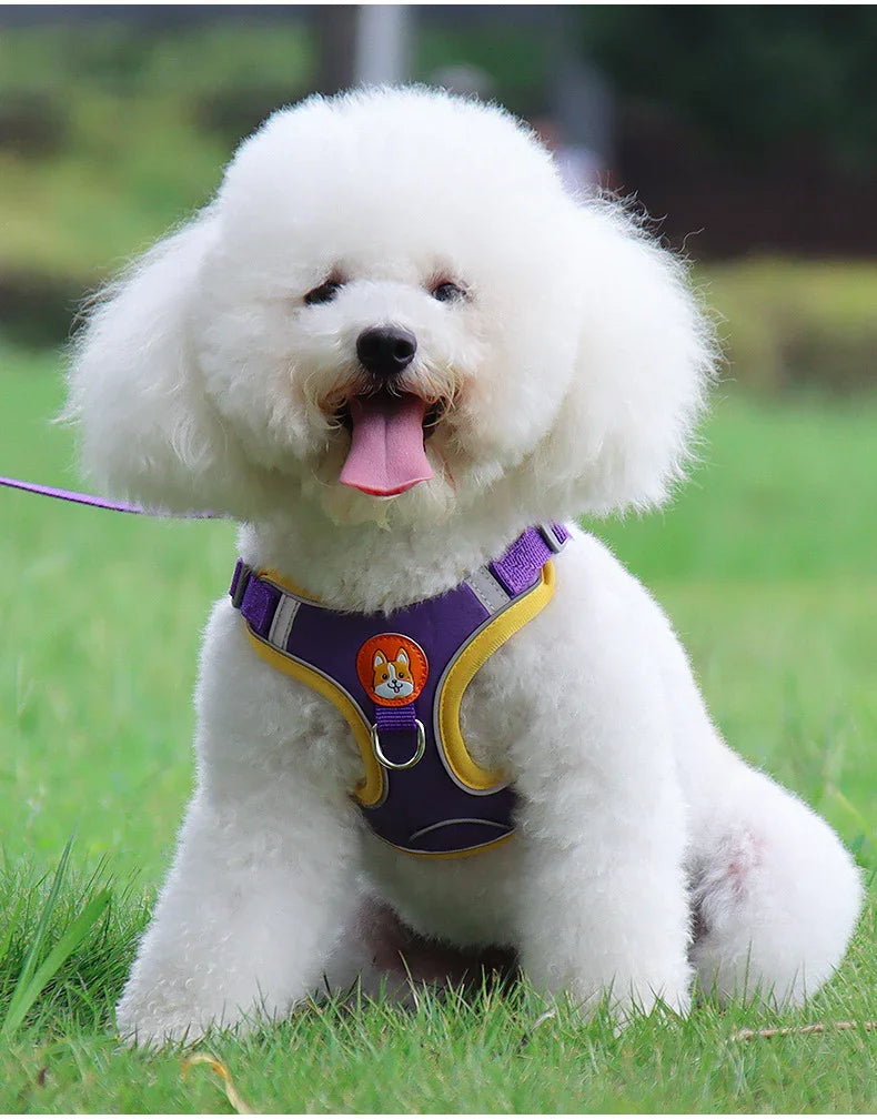 Arnés para Perro Arnés para Gato Correas Reflectantes para Perros Correa Suave de Malla con PecheraEX-STOCK Canada