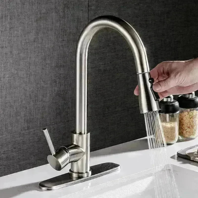 Stainless Steel Brushed Kitchen Sink Faucet with Sprayer - EX-STOCK CANADA