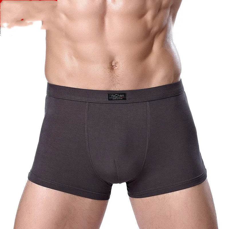 Men's Underwear Boxer Briefs Panties Bamboo Fiber Modal - EX-STOCK Canada
