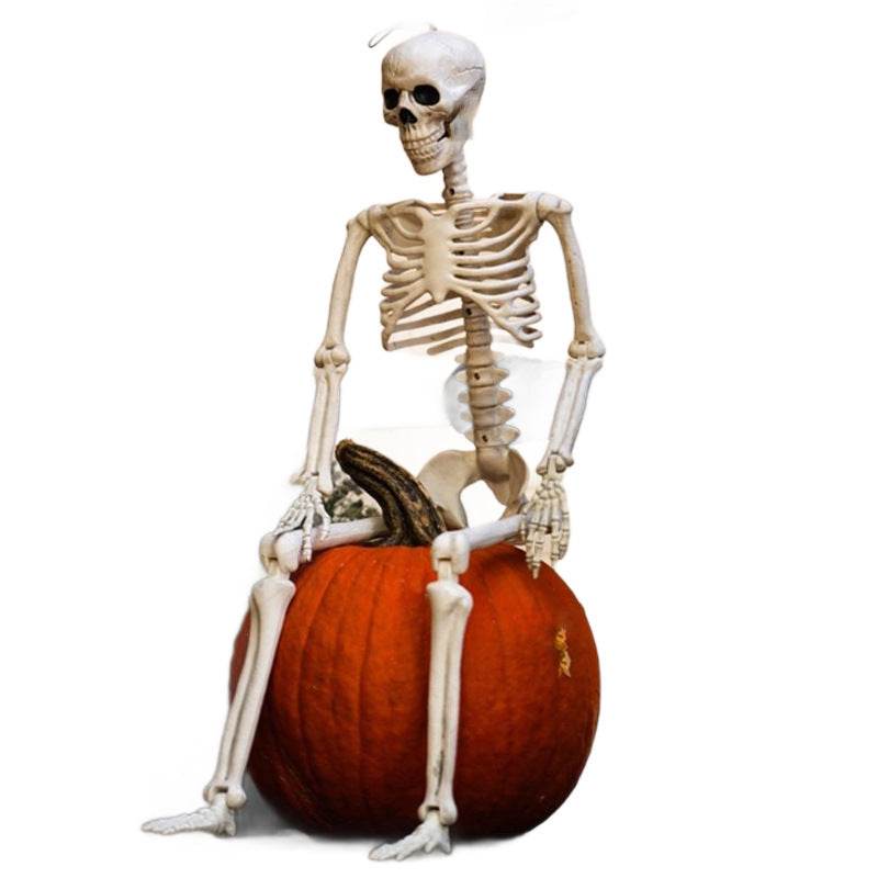 Halloween Movable Joint Skeleton Plastic Model 90cm Party Outdoor Decoration Props - EX-STOCK Canada