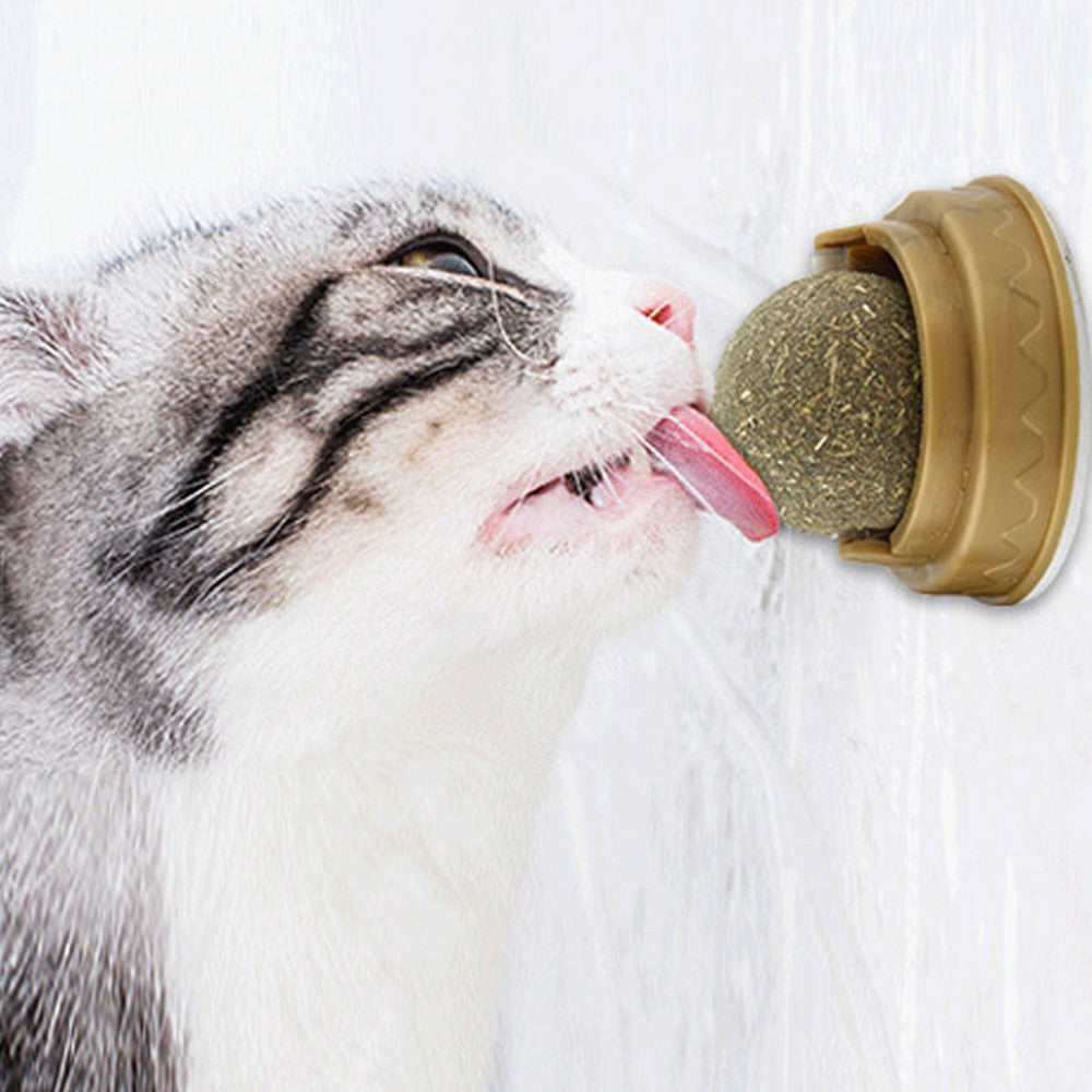 Catnip Balls Cat Treats Rotary Molar Teeth Cleaning EX-STOCK Canada