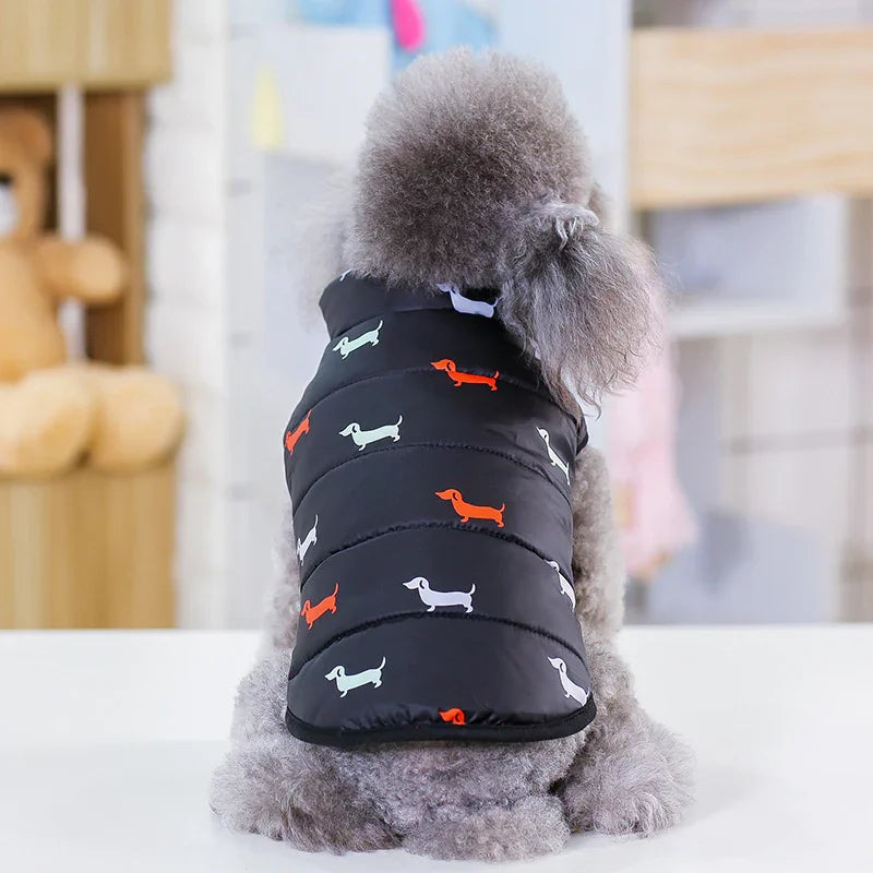 Ropa para perros y productos para mascotasEX-STOCK Canada