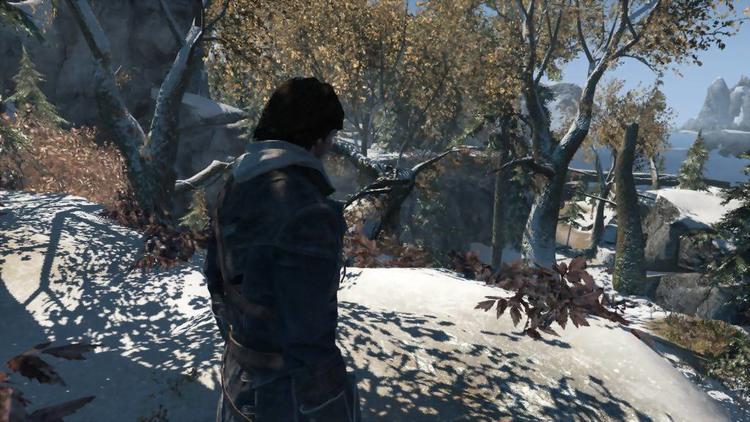 Assassin's Creed : Rogue