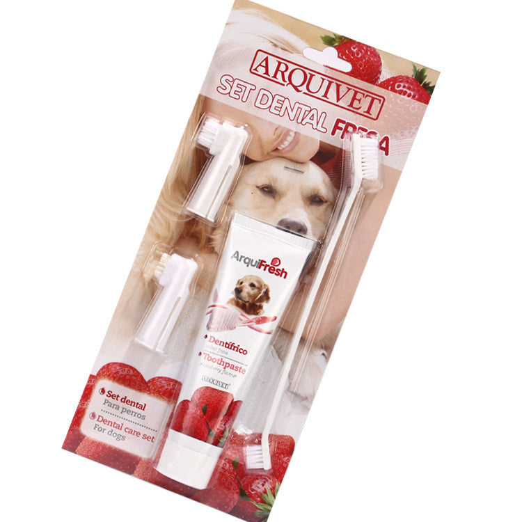 Pet toothpaste toothbrush set