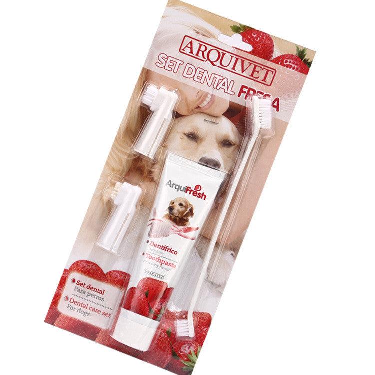 Pet toothpaste toothbrush set