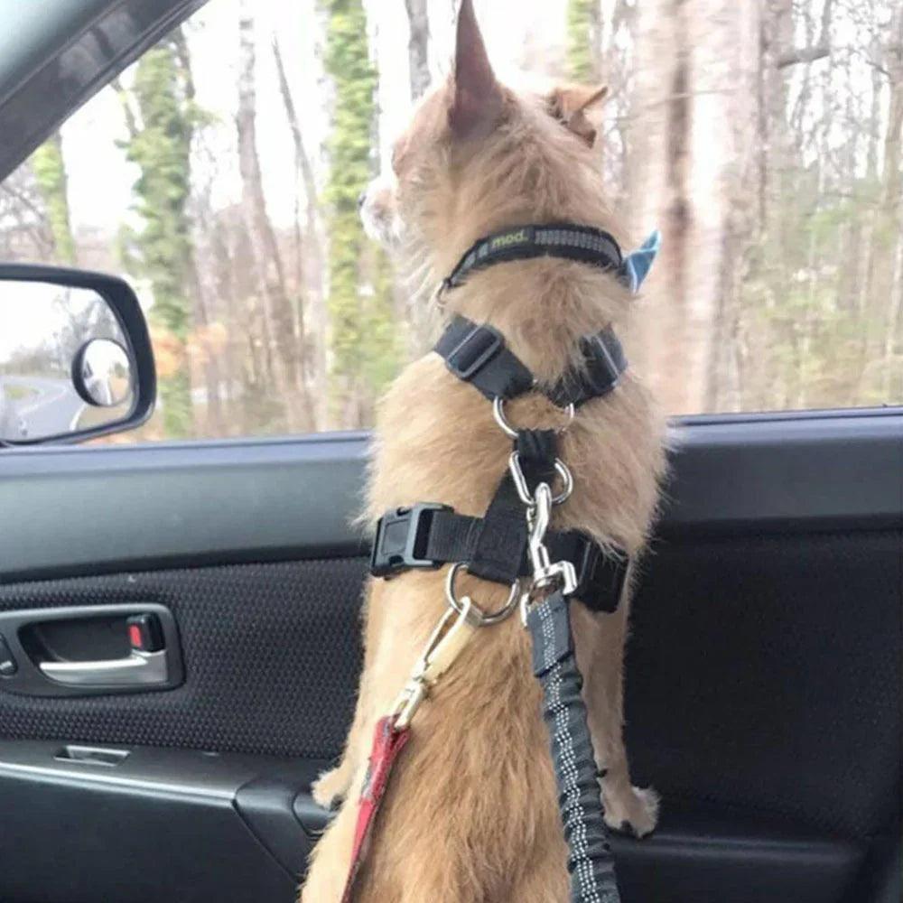 Adjustable Dog Seat Belt Dog Car Seatbelt Harness Leads Elastic Reflective Safety Rope EX-STOCK Canada