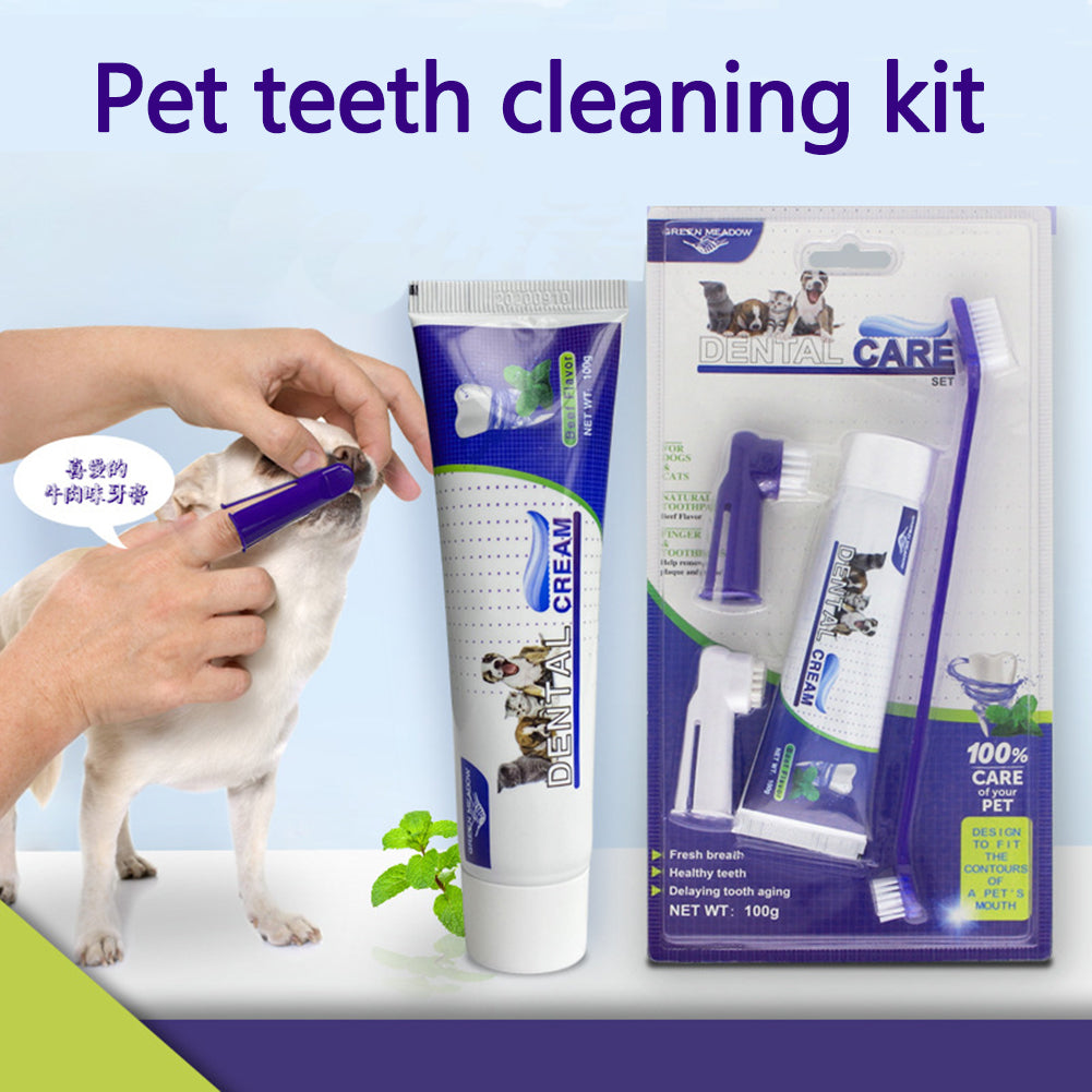 kit de soins dentaires pour chien avec brosse à dents et dentifrice