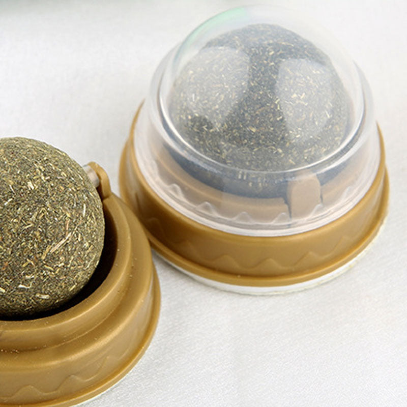 Katzenminze-Bällchen Katzenleckerlis Rotierendes Molaren-ZahnpflegeEX-STOCK Canada