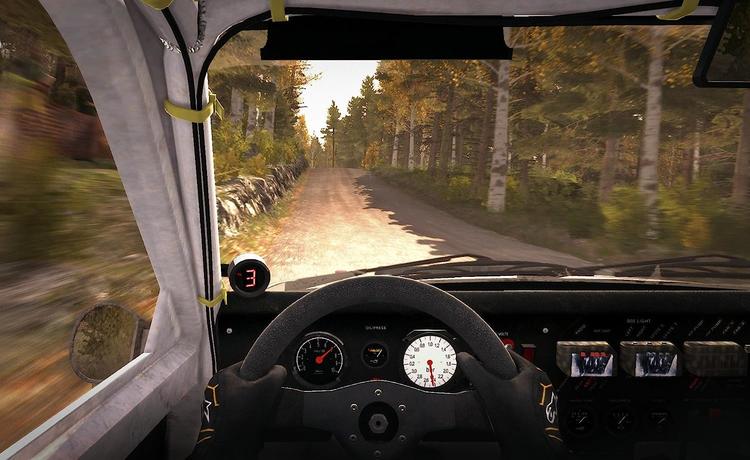 DIRT RALLY