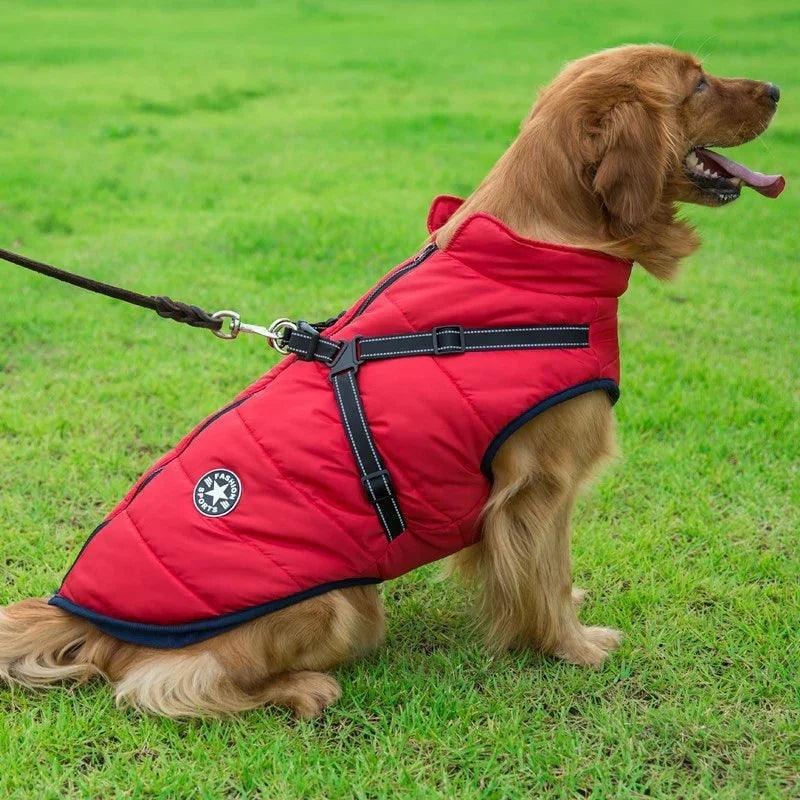 Pet Dog Clothes For Small Dogs Winter Warm Dog Hooded Coat Jackets Chihuahua Pug Outfits Puppy Cat Clothing EX-STOCK Canada