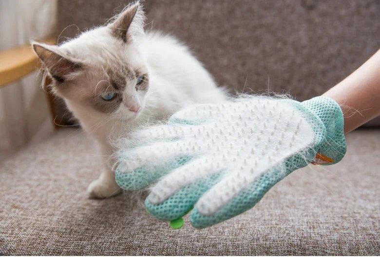 Pet Hair Removal Brush EX-STOCK Canada