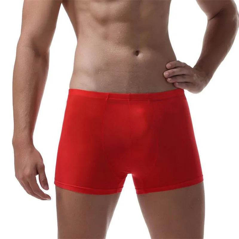 Ice Silk Transparent Elastic Boxer briefs Pant underwear for men - EX-STOCK Canada