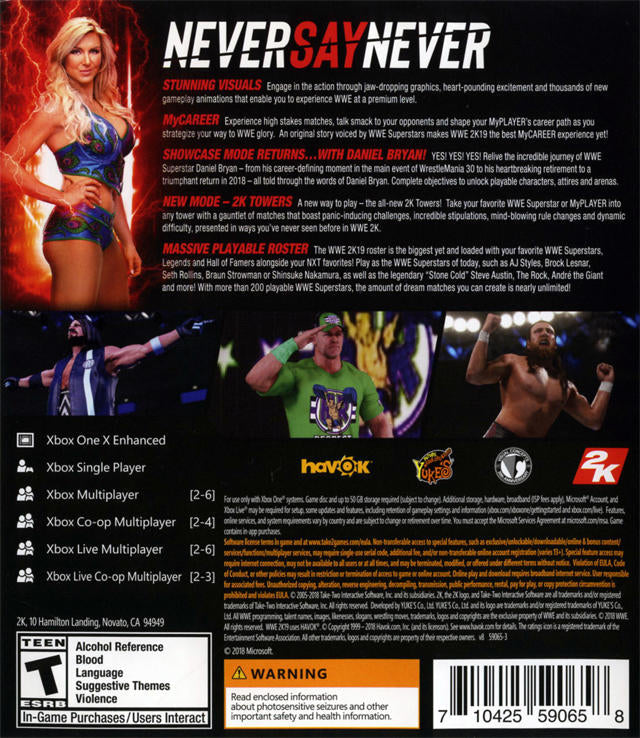 WWE 2K19 (مستعمل)