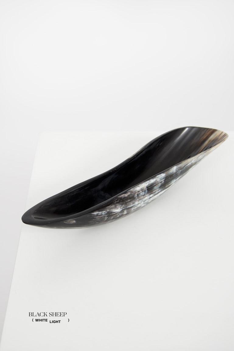 Vaisseau ovale sombre à corne Ankole & GyrEX-STOCK Canada