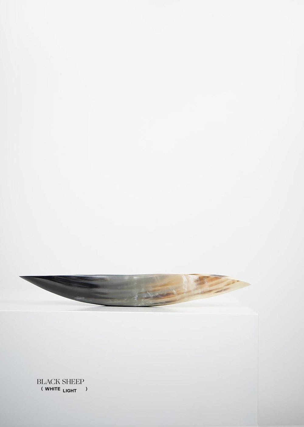 Vaisseau ovale sombre à corne Ankole & GyrEX-STOCK Canada