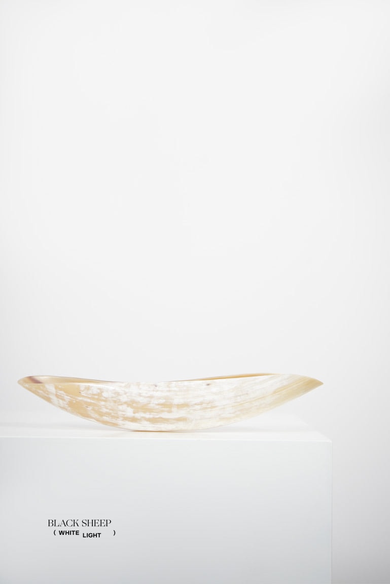 Ankole & Gyr Horn Light Oval Vessel EX-STOCK Canada