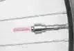 Automobile Tire Lights Valve Valve Lights Wheel Lights - EX-STOCK CANADA