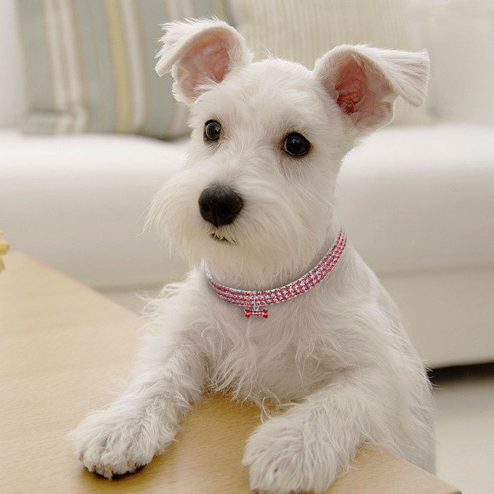 Bling Rhinestone Dog Collar Crystal Puppy Chihuahua Pet Dog Collars Leash For Small Medium Dogs Cats EX-STOCK Canada