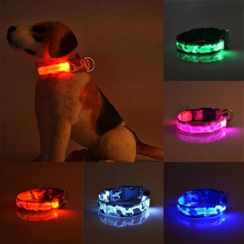 Collier pour chien lumineux et accessoires pour animaux camouflageEX-STOCK Canada