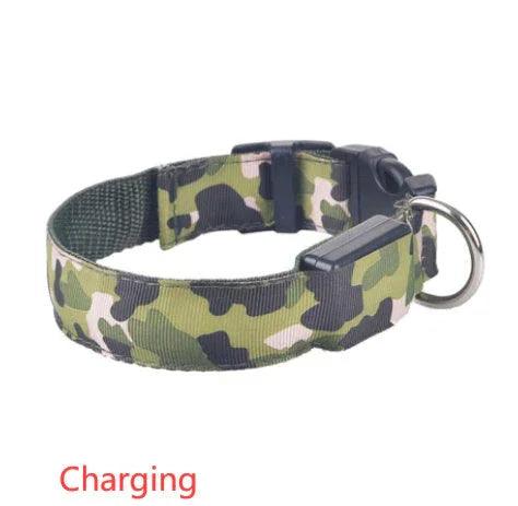 Camouflage pet supplies luminous dog collar EX-STOCK Canada