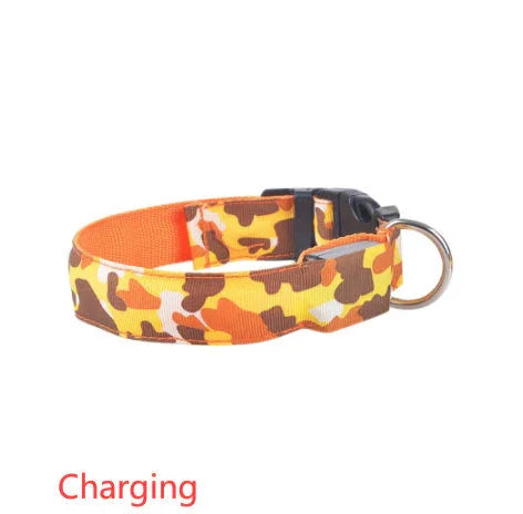 Camouflage pet supplies luminous dog collar EX-STOCK Canada