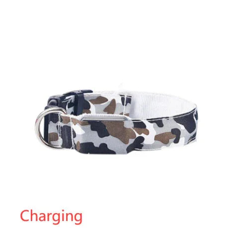 Camouflage pet supplies luminous dog collar EX-STOCK Canada