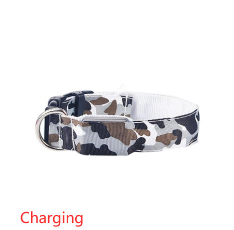 Camouflage pet supplies luminous dog collar EX-STOCK Canada