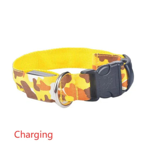 Camouflage pet supplies luminous dog collar EX-STOCK Canada
