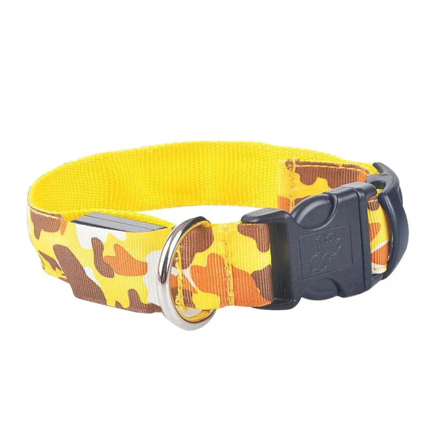 Camouflage pet supplies luminous dog collar EX-STOCK Canada