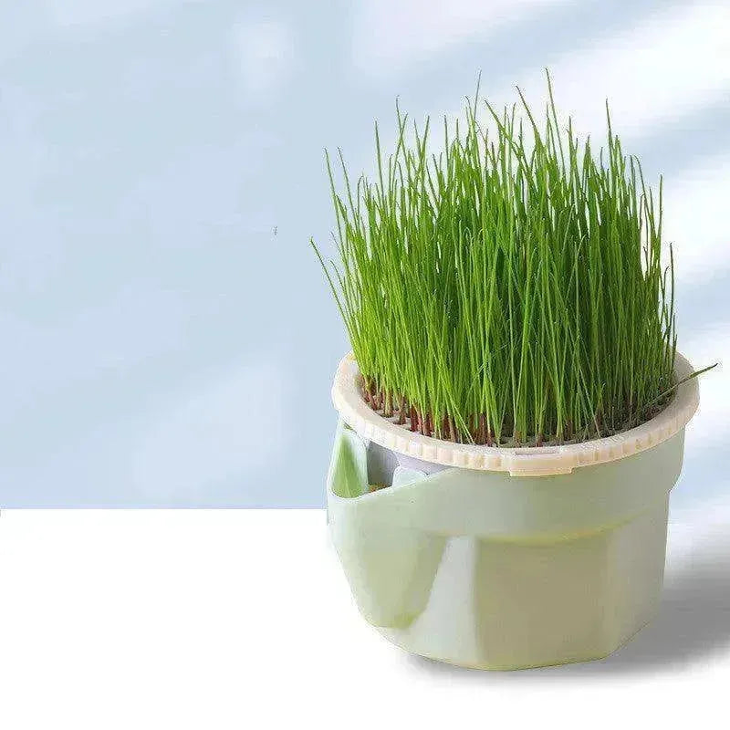 Gobelet d'herbe pour chat Sans terre Hydroponique Graines Craquelins contre les boules de poils - EX-STOCK CANADA