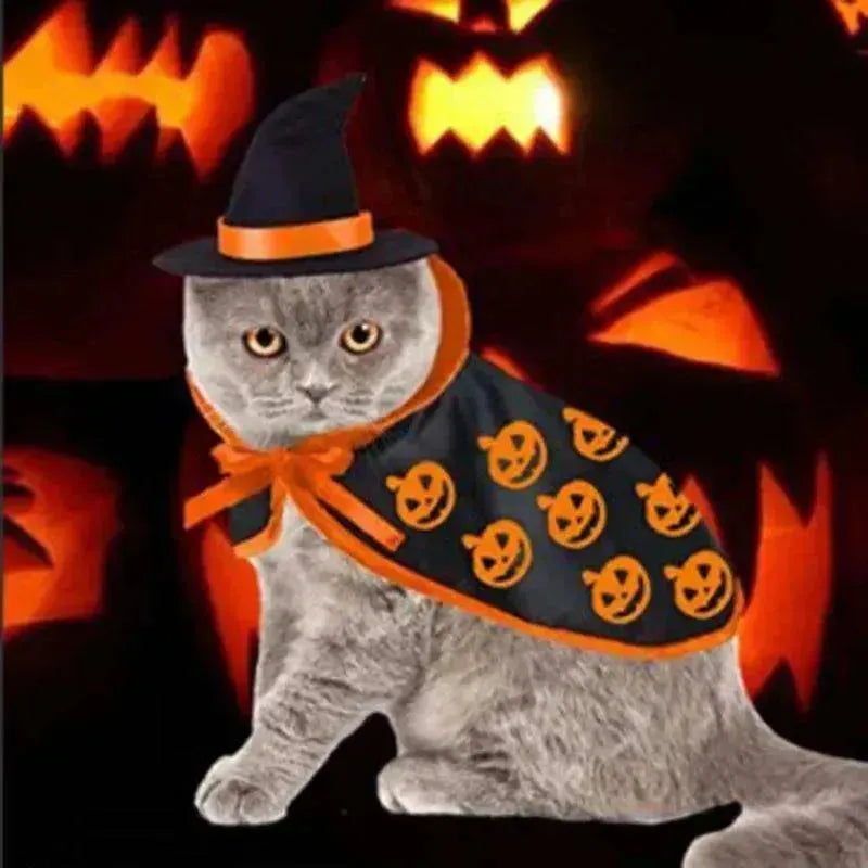 Cape pour animal de compagnie d'Halloween transfrontalière costume de Saint EX-STOCK CANADA