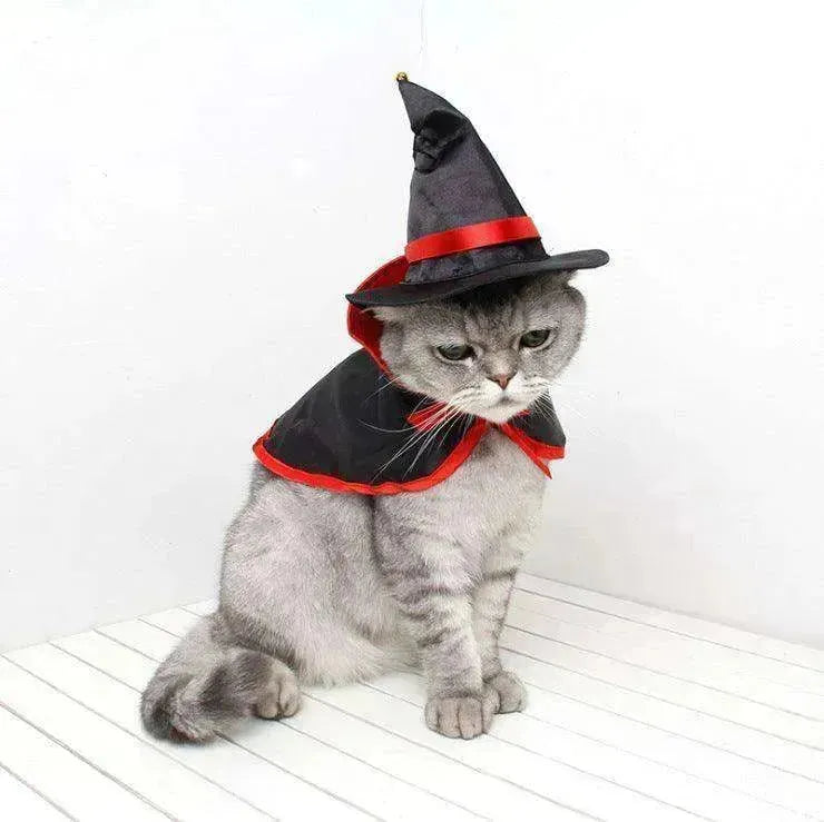 Cape pour animal de compagnie d'Halloween transfrontalière costume de Saint EX-STOCK CANADA