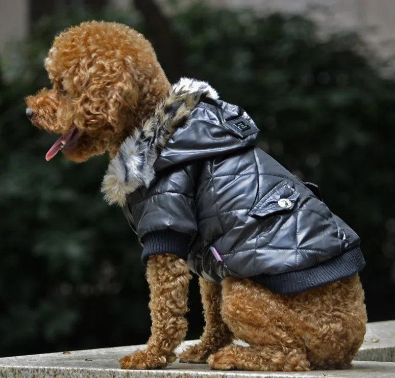 Cross-border pet supplies pet clothes dog clothes autumn and winter fur collar coat pet dog clothing EX-STOCK Canada