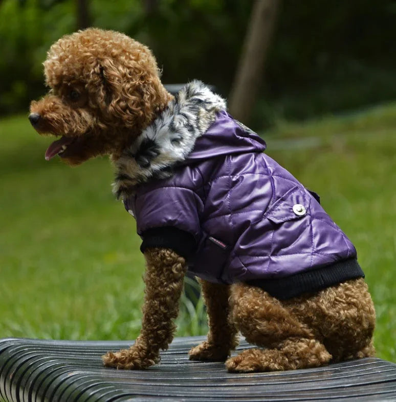 Cross-border pet supplies pet clothes dog clothes autumn and winter fur collar coat pet dog clothing EX-STOCK Canada