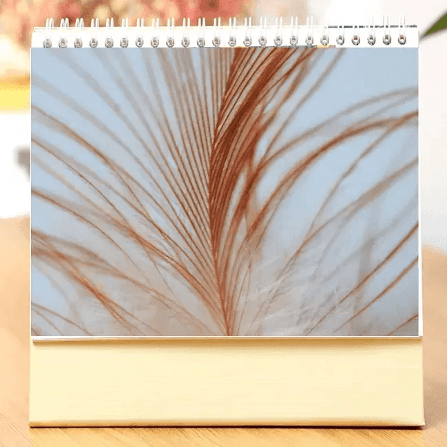 Customized Photo New Desk Calendar - EX-STOCK Canada